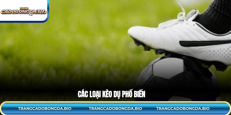 Các loại kèo dụ phổ biến