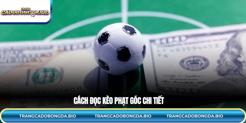 Cách đọc kèo phạt góc chi tiết