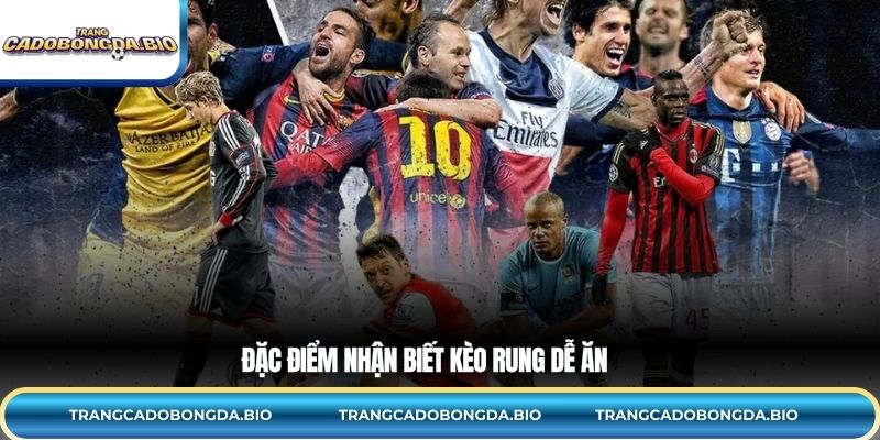 Đặc điểm nhận biết kèo rung dễ ăn