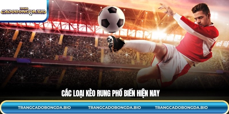 Các loại kèo rung phổ biến hiện nay